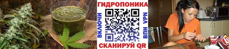 MEGA онион  Тихорецк  Печенье с ТГК марихуана 