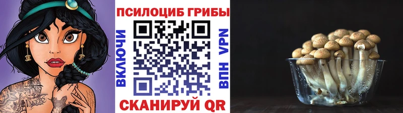 Псилоцибиновые грибы Magic Shrooms Тихорецк